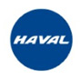 Колпачки на ниппеля металлик HAVAL синий  4 шт. V-159  13864